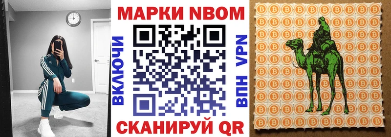 darknet наркотические препараты  Наволоки  Марки NBOMe 1500мкг  где купить  